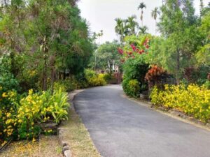 Mawlynnong Cleanest Village in Asia